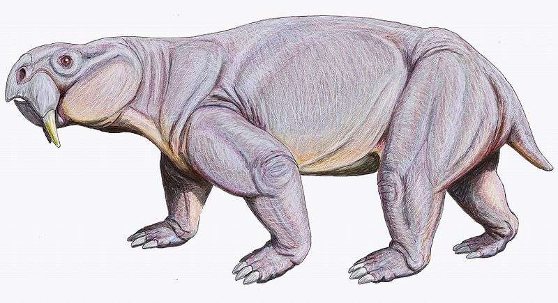 5a5510b19126e_74a026491d_50162_dinodontosaurus-dmitrybogdanov-wikimediacommon-Copie.jpg.2fa5389883243a444b5b66ea11be5c3f.jpg