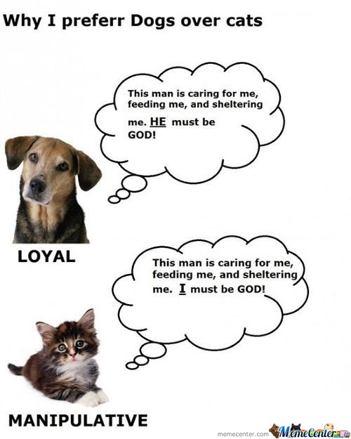 difference-between-cats-and-dogs_c_157789.jpg.0f94a101d6c10ef6dff04b2db607e551.jpg
