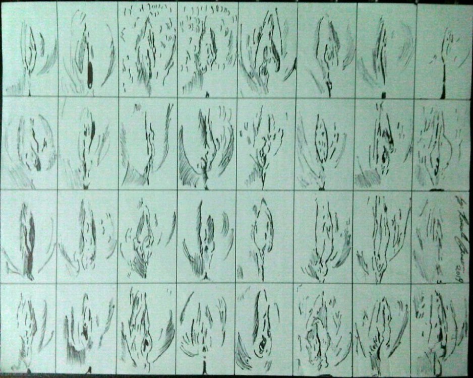 wall of vagina's 0.1 (pen).jpg